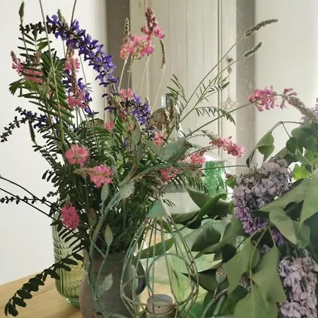 Petit Nid * Straßburg