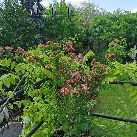 Petit Nid Privatunterkunft Straßburg