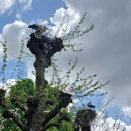 Privatunterkunft Petit Nid