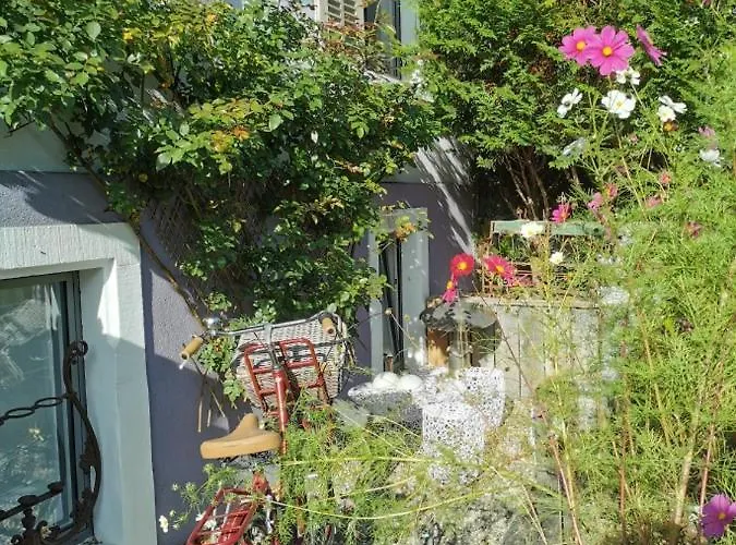 Homestay Petit Nid *