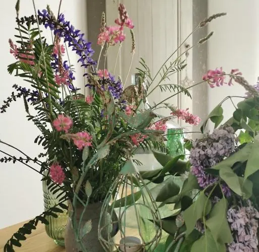 Petit Nid * Straatsburg