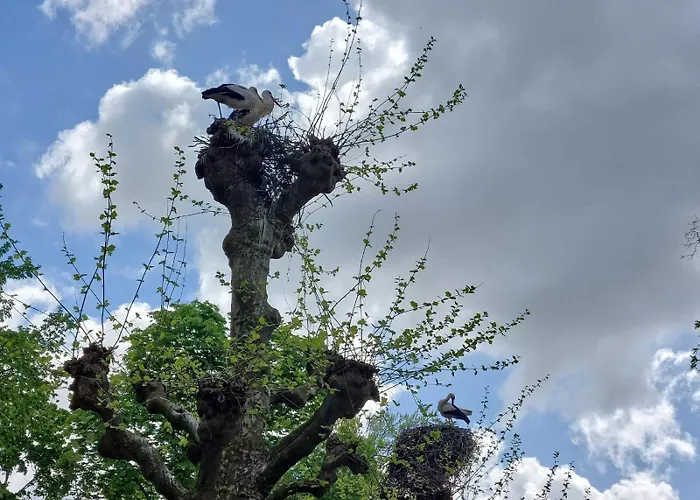 Accommodatie bij particulieren Petit Nid